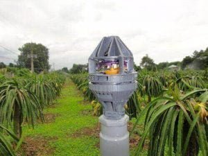 Tưới Thanh Long tự động bằng béc tưới Nelson