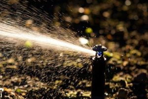 R5_Almond_Orchards_(41_of_216)