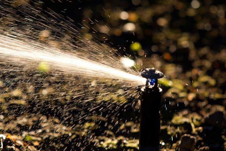 Xin cho hỏi về độ bền của thiết bị tưới Nelson (Câu hỏi 7) 7 R5_Almond_Orchards_(41_of_216)