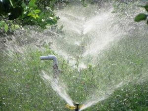 Hiệu quả từ hệ thống tưới cây ăn trái 3 trong 1