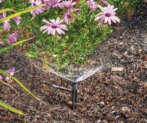 Đầu phun tưới cảnh quan chỉnh lưu lượng bán kính