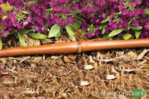 Dây tưới nhỏ giọt cảnh quan DIG Micro dripline