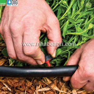 Bộ tưới cảnh quan DIG GE200 9 Bộ tưới cảnh quan DIG GE200