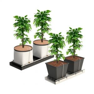 Que cắm nhỏ giọt Rivulis Dripeg - Chuẩn công nghệ Israel, Dễ lắp đặt & Vận hành 9 Tuoi nho giot bang que cam Dripeg