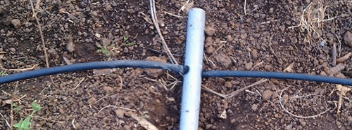 Hướng dẫn nối ống PE với ống PVC qua khởi thủy