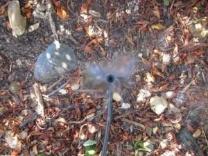 Tưới phun mưa cục bộ