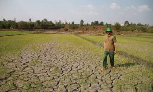 Giải pháp nào cho thuỷ lợi Tây Nguyên - Phần 1