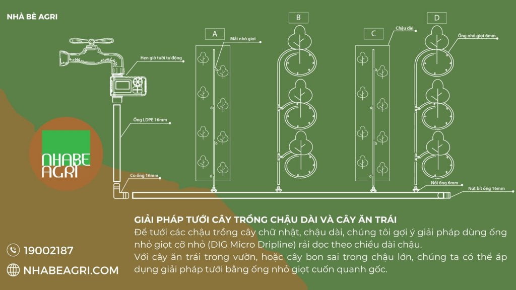 Giải pháp tưới cây trồng chậu dài và cây ăn trái