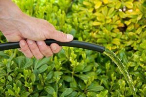 Xử lý đoạn cuối ống PE trong hệ thống tưới nhỏ giọt