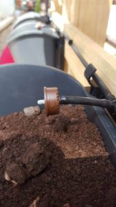 tưới vườn tường