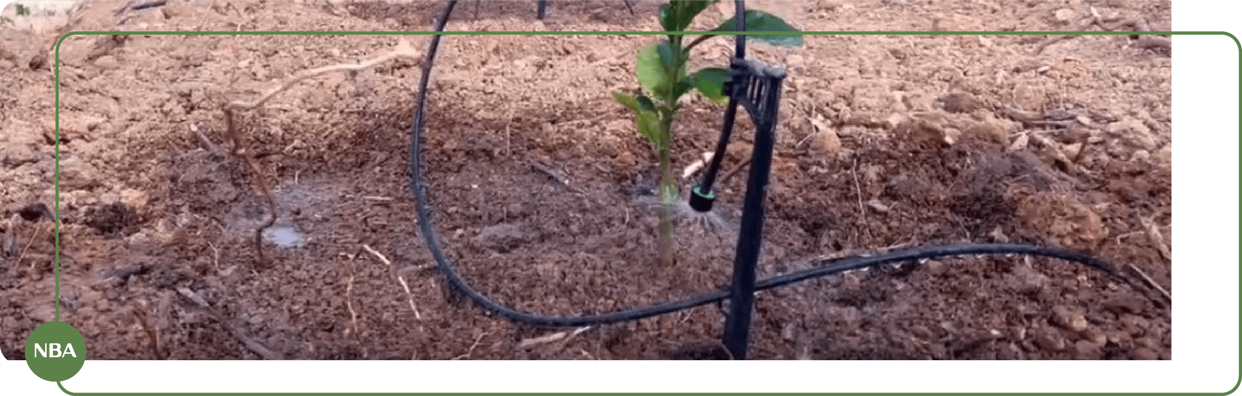 Cọc gắn béc tưới Driptec 9 Cọc gắn béc tưới kẹp ống 6mm banner