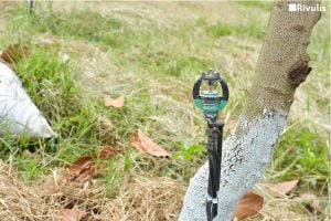 béc tưới cây ăn trái