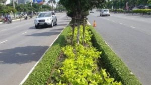 Hệ thống tưới nhỏ giọt cho lươn đường, giải phân cách, hàng rào cây xanh