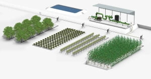 Hệ thống tưới nhỏ giọt dọc luống bằng dây T-tape