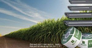 Dây tưới nhỏ giọt T-tape Israel