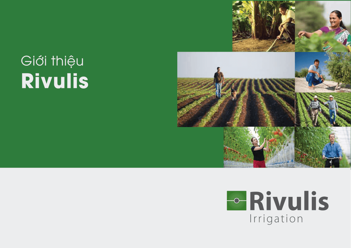 Giới thiệu Rivulis