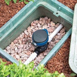 Hẹn giờ tưới.