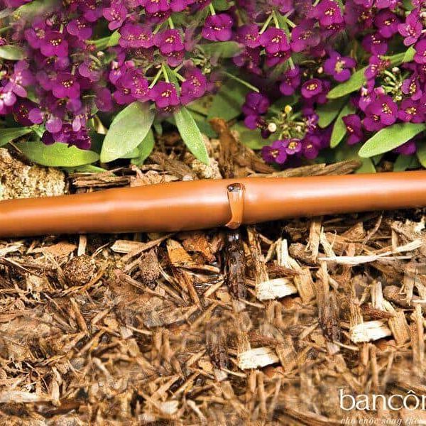 Ống tưới nhỏ giọt DIG Micro dripline - Lựa chọn hoàn hảo cho tưới cảnh quan sân vườn 5 dây dig nhỏ giot