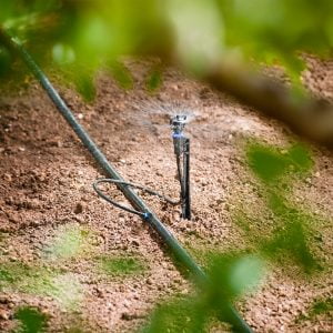 Đầu tưới phun mưa Rivulis Rondo có bù áp 4 Bo-dau-tuoi-Rivulis-Rondo