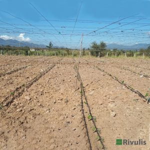 Ống tưới nhỏ giọt Rivulis D1000 3 Ống tưới nhỏ giọt Rivulis D1000