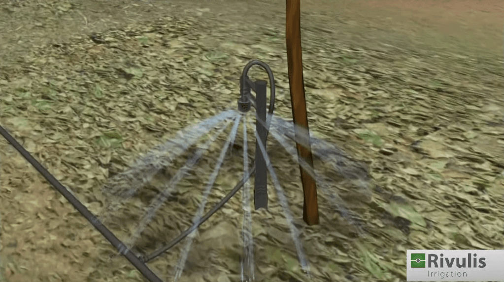 Đầu tưới tưới phun mưa Rivulis Tornado - Chuẩn tưới Israel, bền bỉ vượt thời gian