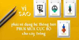 hệ thống tưới phun mưa cục bộ cho cây trồng