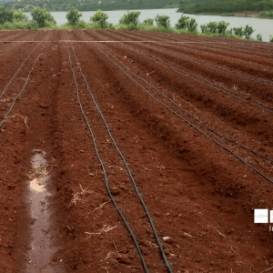 Dây tưới nhỏ giọt Rivulis Eolos Garden