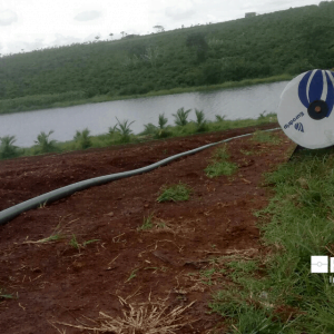 Dây tưới nhỏ giọt rải dọc luống Eolos Garden