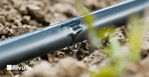 Dây tưới nhỏ giọt T-Tape tưới rau màu, cây ăn trái