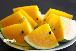 tưới nhỏ giọt cho dưa ruột vàng