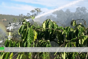 Súng tưới cà phê ducar atom