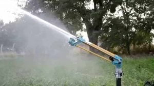 Định Lượng Chu Kỳ Tưới Cho Cà Phê