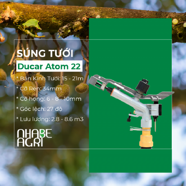 sung tuoi ducar atom 22