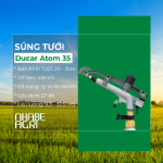 sung-tuoi-ducar-atom-35