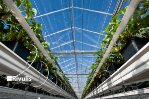 ung-dung-dau-tuoi-nho-giot-tuoi-nong-nghiep-va-canh-quan-do-thi