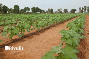 mua dây tưới nhỏ giọt tại Nhà Bè Agri