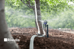 Tổng hợp địa chỉ bán béc tưới phun mưa uy tín tại Miền Trung & Tây Nguyên