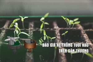 bao-gia-he-thong-tuoi-rau-tren-san-thuong-bang-dau-nho-giot