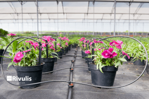 ung-dung-dau-tuoi-nho-giot-tuoi-nong-nghiep-va-canh-quan-do-thi