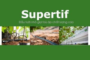 cau-tao-dau-tuoi-nho-giot-bu-ap-supertif-israel-rivulis