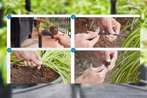 su-dung-dau-nho-giot-tuoi-hoa-treo-ban-cong-lan-can-san-thuong