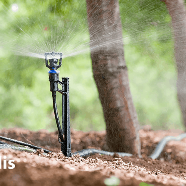Đầu tưới phun mưa Rivulis Rondo - Hiệu quả cao, chi phí thấp 9 Rondo-bu-ap-tuoi-phun-mua-cuc-bo-cay-an-trai-1 (1)