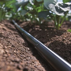 day-tuoi-nho-giot-rivulis