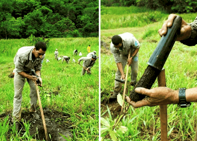 Vợ chống Salgado cùng thành lập tổ chức trồng cây