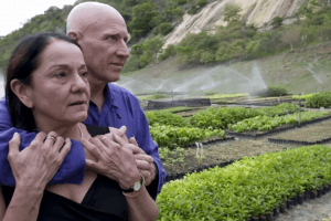 Phục hồi rừng bằng cách trồng 2 triệu cây xanh trong 20 năm