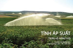 Tính áp suất trong hệ thống tưới