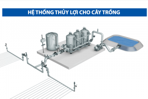 Hệ thống tưới tiêu