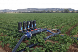 Tưới nhỏ giọt Azud khoai tây