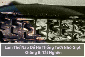 Xử lý hệ thống tưới nhỏ giọt bị tắt nghẽn