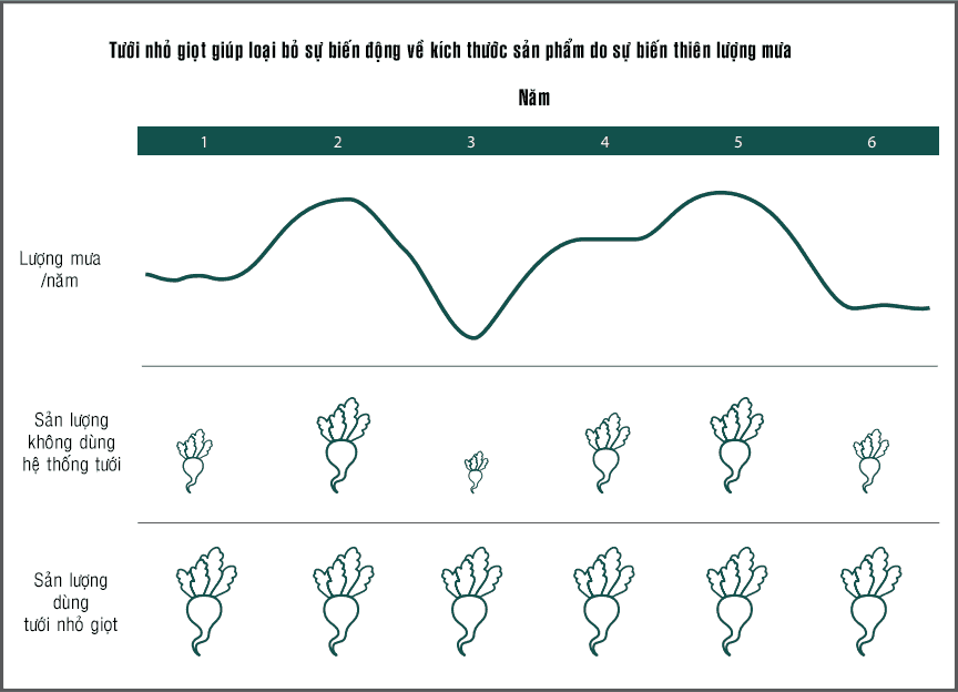 bieu-do-san-luong-su-dung-he-thong-tuoi Biến động kích thước cây trồng bởi lượng mưa